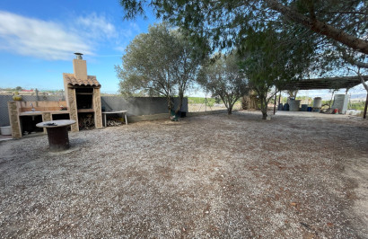 Resale - Finca / Country Property - Jacarilla