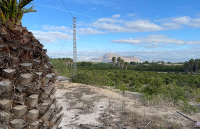 Resale - Finca / Country Property - Jacarilla