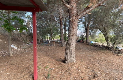 Resale - Finca / Country Property - Jacarilla