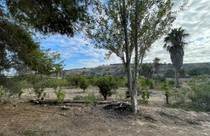 Resale - Finca / Country Property - Jacarilla