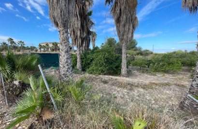 Resale - Finca / Country Property - Jacarilla