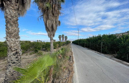 Resale - Finca / Country Property - Jacarilla