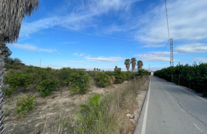 Resale - Finca / Country Property - Jacarilla