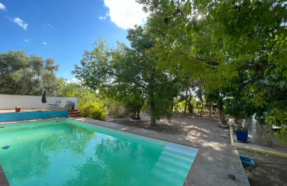 Resale - Finca / Country Property - Albatera