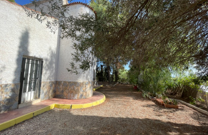 Resale - Finca / Country Property - Albatera