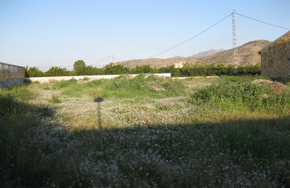 Resale - Finca / Country Property - Benferri