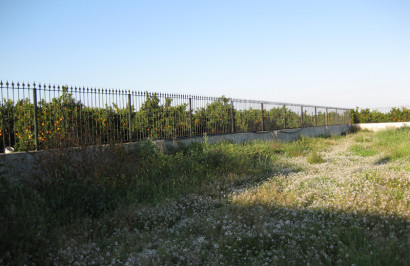 Resale - Finca / Country Property - Benferri