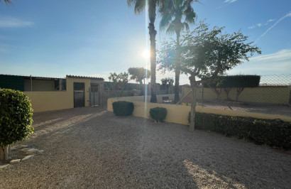 Resale - Finca / Country Property - Elche - Las Bayas