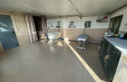 Resale - Finca / Country Property - Elche - Las Bayas