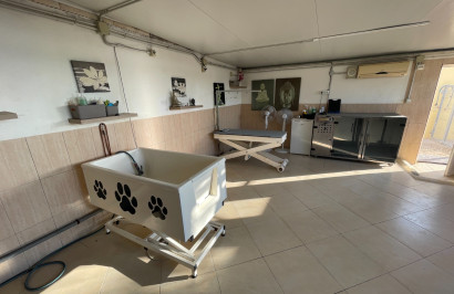 Resale - Finca / Country Property - Elche - Las Bayas