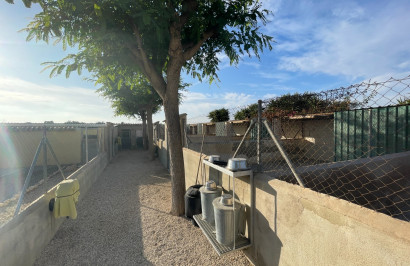 Resale - Finca / Country Property - Elche - Las Bayas