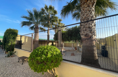 Resale - Finca / Country Property - Elche - Las Bayas