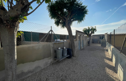 Resale - Finca / Country Property - Elche - Las Bayas