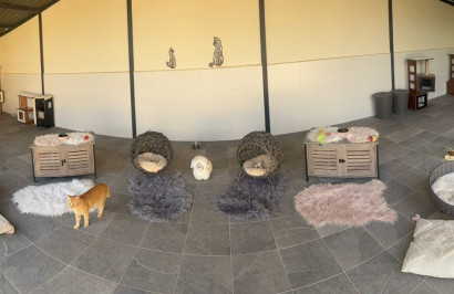 Resale - Finca / Country Property - Elche - Las Bayas