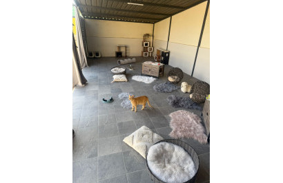 Resale - Finca / Country Property - Elche - Las Bayas