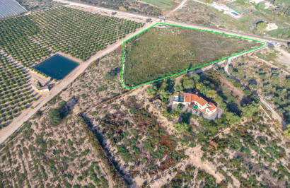 Resale - Plot / Land - Crevillente - Comunidad valenciana