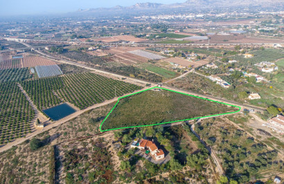 Resale - Plot / Land - Crevillente - Comunidad valenciana