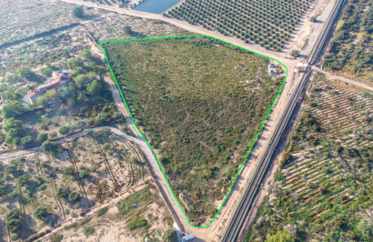 Resale - Plot / Land - Crevillente - Comunidad valenciana