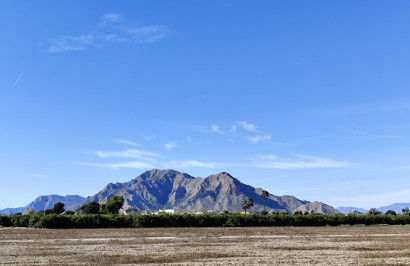Herverkoop - Vrijstaande villa - El Mudamiento