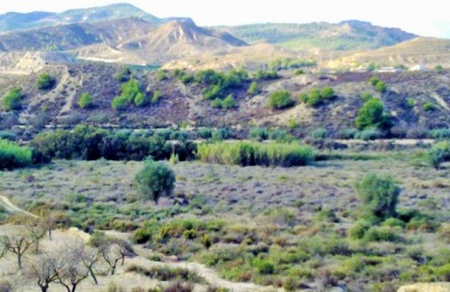 Herverkoop - Perceel / Grond - Torremendo