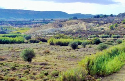 Reventa - Parcela / Terreno - Torremendo