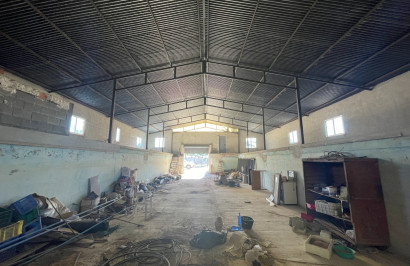 Reventa - Finca / Propiedad de Campo - Elche