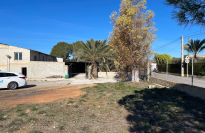 Reventa - Finca / Propiedad de Campo - Elche