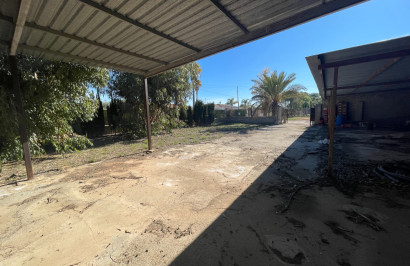 Reventa - Finca / Propiedad de Campo - Elche