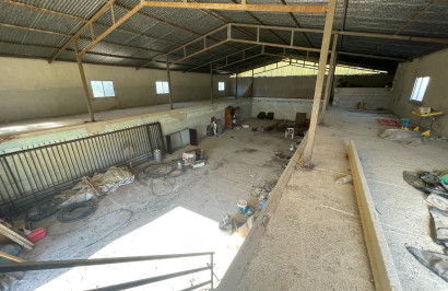 Reventa - Finca / Propiedad de Campo - Elche