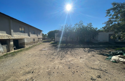 Reventa - Finca / Propiedad de Campo - Elche
