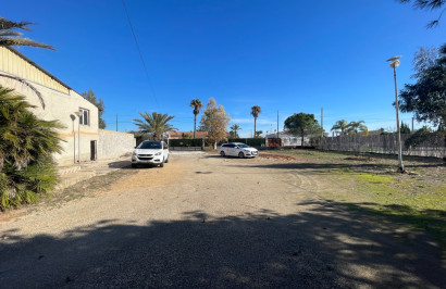Reventa - Finca / Propiedad de Campo - Elche