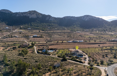 Resale - Finca / Country Property - La Zarza