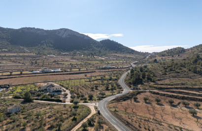 Resale - Finca / Country Property - La Zarza