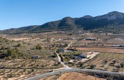 Resale - Finca / Country Property - La Zarza
