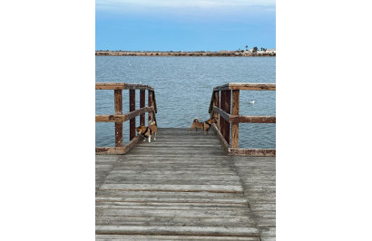 Resale - Town House - San Pedro del Pinatar - Los Antolinos