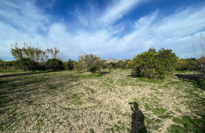 Resale - Detached Villa - Benejúzar - Comunidad Valenciana