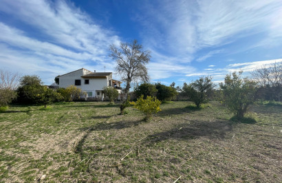 Resale - Detached Villa - Benejúzar - Comunidad Valenciana