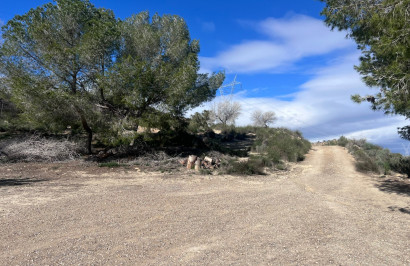 Revente - Finca / Propriété de campagne - Torremendo