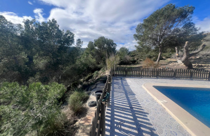 Revente - Finca / Propriété de campagne - Torremendo