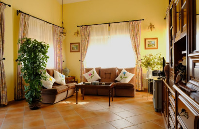 Reventa - Finca / Propiedad de Campo - Orihuela