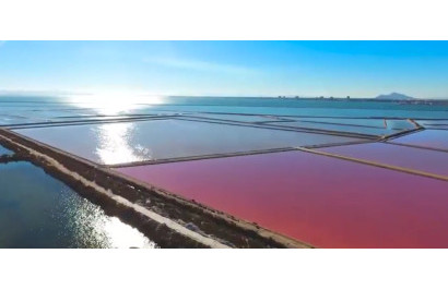 Resale - Detached Villa - Torre de la Horadada