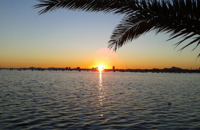 Resale - Detached Villa - Torre de la Horadada