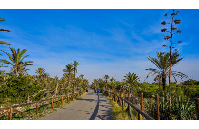 Reventa - Parcela / Terreno - Guardamar del Segura