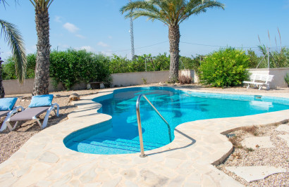 Revente - Villa Individuelle - Guardamar del Segura - El Raso
