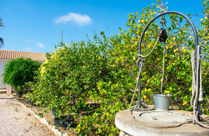 Reventa - Villa independiente - Guardamar del Segura - El Raso