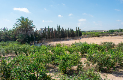 Reventa - Villa independiente - Guardamar del Segura - El Raso