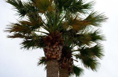 Resale - Detached Villa - Cartagena - La Manga del Mar Menor