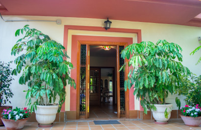 Reventa - Villa independiente - Molina De Segura - Torre de Cotillas