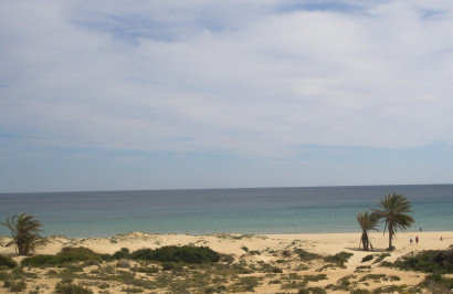 Revente - Appartement - Gran Alacant