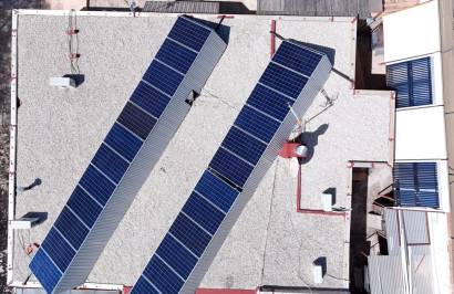 Reventa - Finca / Propiedad de Campo - Crevillente